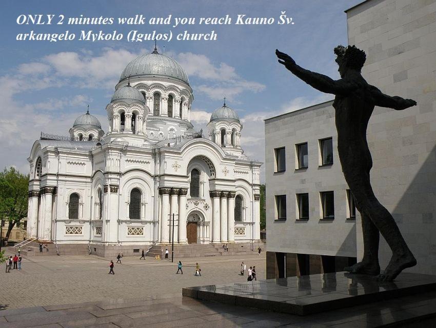 Apartamentai Kauno Centre Kaunas Buitenkant foto
